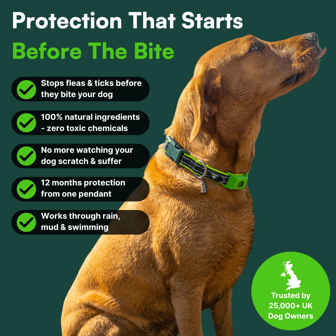 Fursentials™ 12-Month Natural Flea & Tick Protection
