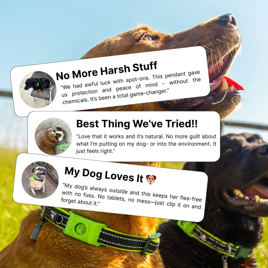 Fursentials™ 12-Month Natural Flea & Tick Protection