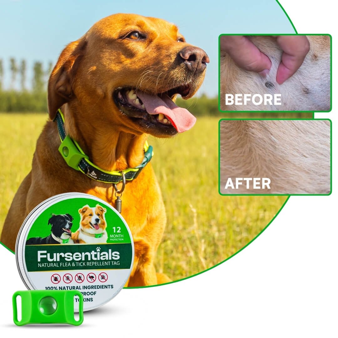 Fursentials™ 12-Month Natural Flea & Tick Protection