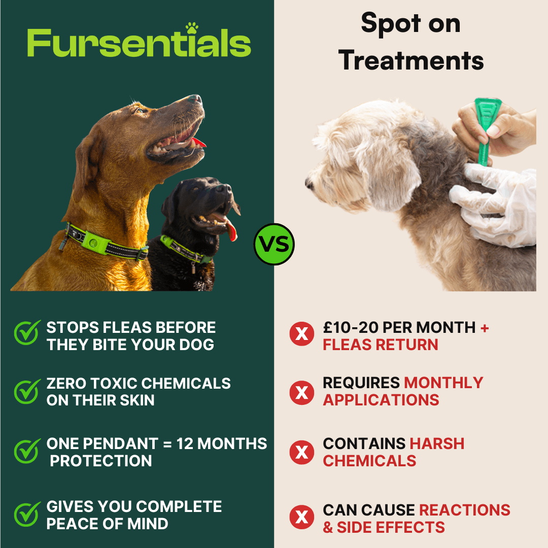 Fursentials™ 12-Month Natural Flea & Tick Protection