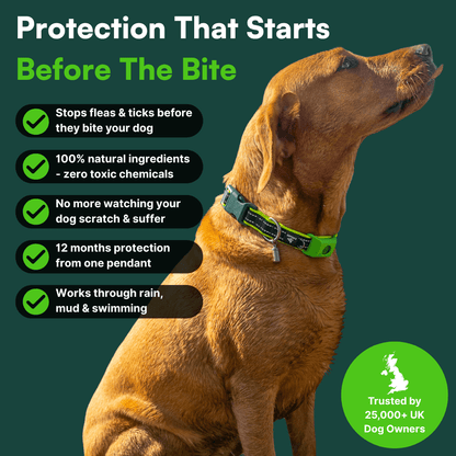 Fursentials™ 12-Month Natural Flea & Tick Protection