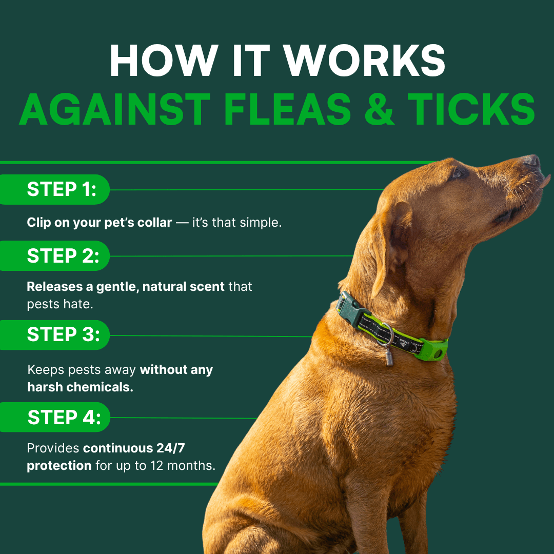 Fursentials™ 12-Month Natural Flea & Tick Protection