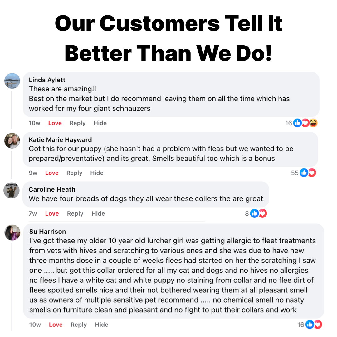 Fursentials™ 12-Month Natural Flea & Tick Protection