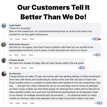 Fursentials™ 12-Month Natural Flea & Tick Protection