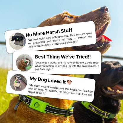 Fursentials™ 12-Month Natural Flea & Tick Protection