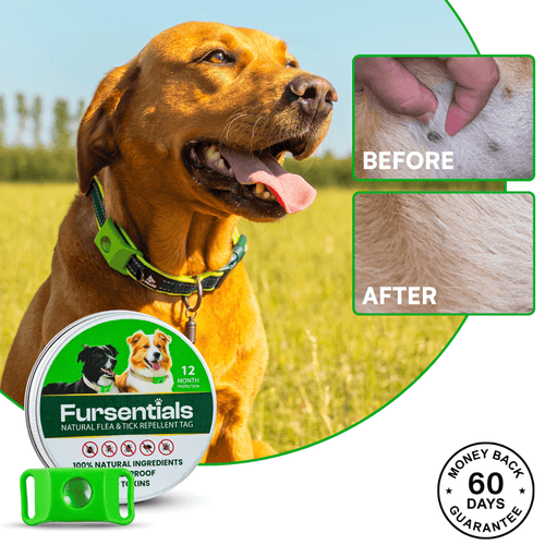 Fursentials™ 12-Month Natural Flea & Tick Protection
