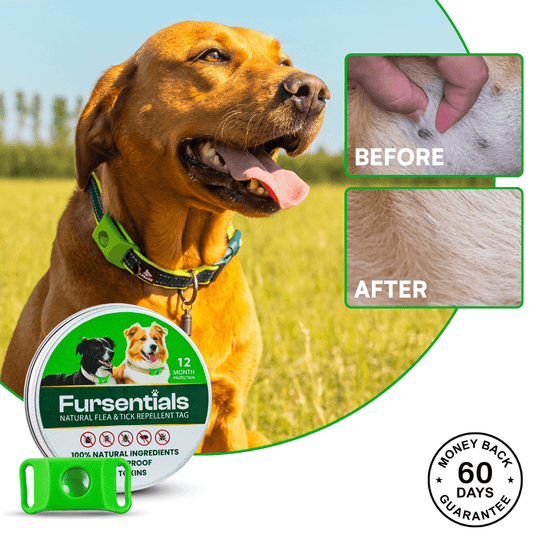 Fursentials™ 12-Month Natural Flea & Tick Protection